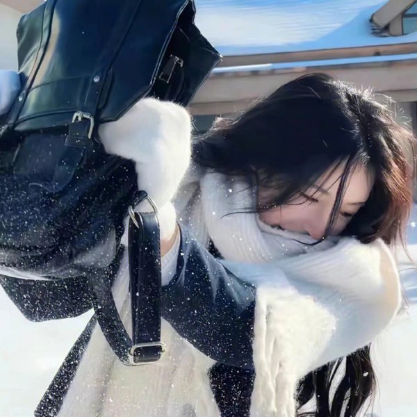 巅峰拍档第四季