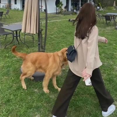 秋菊打官司