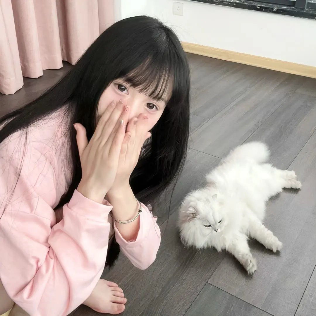 春夏秋冬又一春